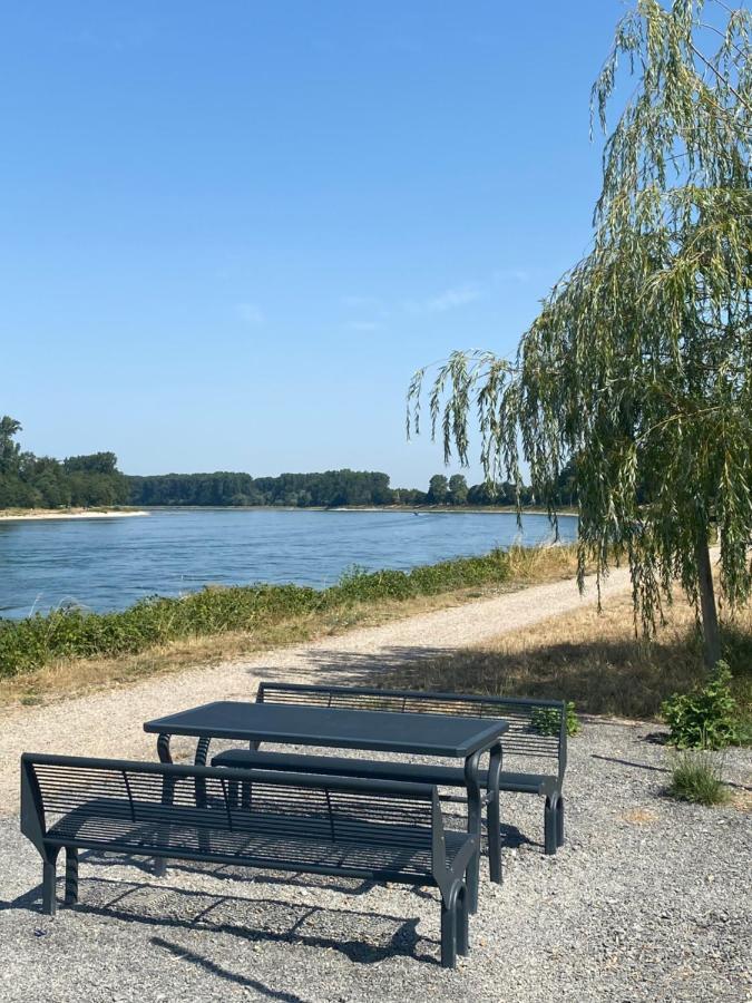 Ferienhaus Hoffmann Am Rheinbogen Altlussheim Exteriér fotografie