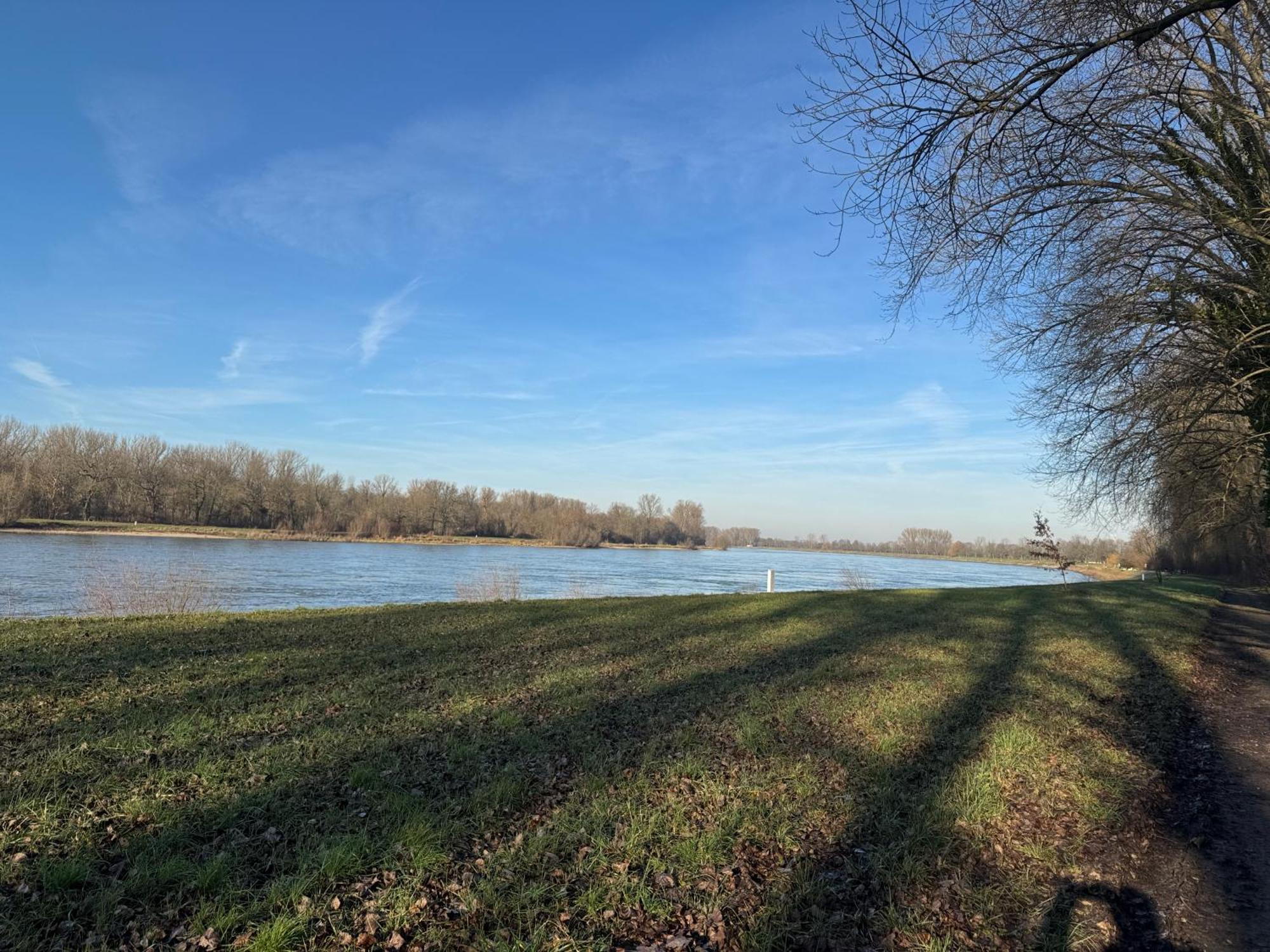 Ferienhaus Hoffmann Am Rheinbogen Altlussheim Exteriér fotografie