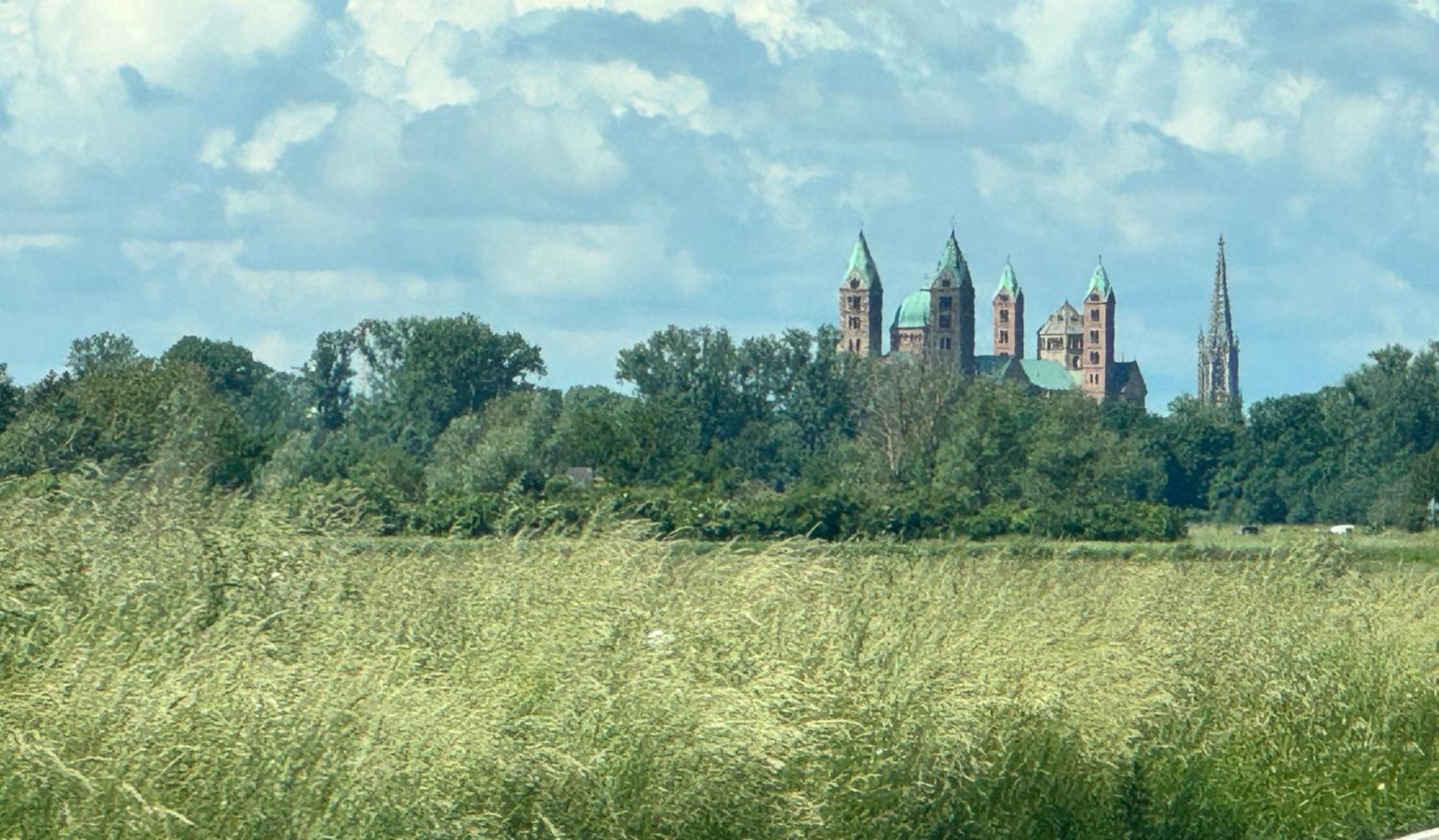 Ferienhaus Hoffmann Am Rheinbogen Altlussheim Exteriér fotografie